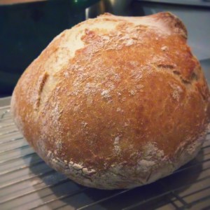 IMG_20140304_184813916